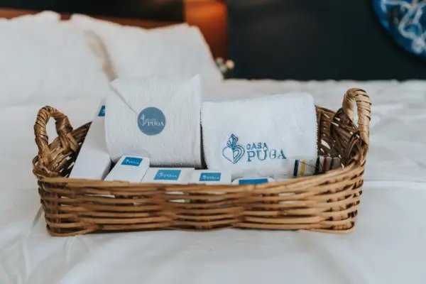 Hotel Casa Puga 5