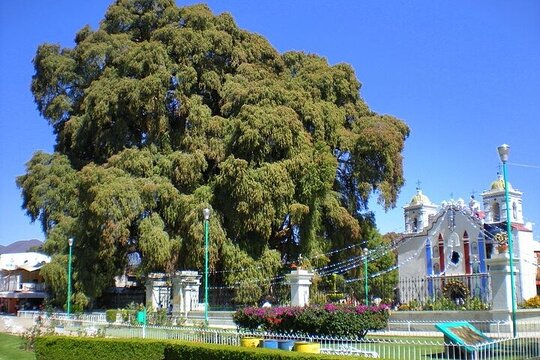 Tour image 6