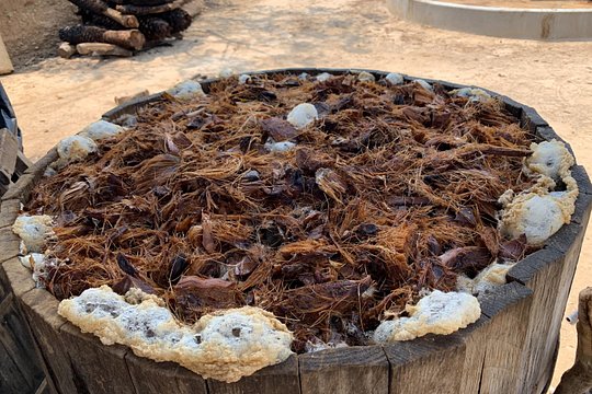 Tour image 7